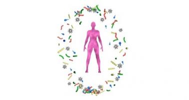 Cette découverte de communautés spécifiques au cancer dans le microbiome du sein ouvre une nouvelle perspective dans la lutte contre le cancer du sein Cette découverte de communautés spécifiques au cancer dans le microbiome du sein ouvre une nouvelle perspective dans la lutte contre le cancer du sein