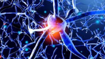 Il existe une limitation importante au nombre de « souvenirs » pouvant être stockés dans la mémoire de travail. Il existe une limitation importante au nombre de « souvenirs » pouvant être stockés dans la mémoire de travail.