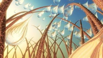 Des lacunes subsistent à la fois dans la compréhension de ses nombreux facteurs et dans la connaissance des dispositifs et produits qui peuvent contribuer à réduire son incidence.