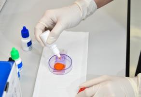 Ce sont de nouvelles preuves de l’effet destructeur des pesticides sur les spermatozoïdes et de leur contribution possible à l’augmentation générale de l’infertilité masculine (Visuel Fotolia 210285886)