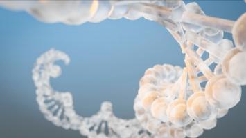 Le code en question est intégré à de grands acides ribonucléiques (ARN) codant pour des protéines et à de petits ARN, appelés microARNs, qui auraient évolué il y a plus de 800 millions d'années, pour protéger le corps contre le cancer. Le code en question est intégré à de grands acides ribonucléiques (ARN) codant pour des protéines et à de petits ARN, appelés microARNs, qui auraient évolué il y a plus de 800 millions d'années, pour protéger le corps contre le cancer.