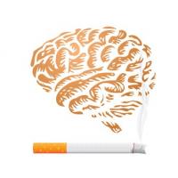 « Cette variante affecte la quantité de formation d'un récepteur de la nicotine dans le cerveau » « Cette variante affecte la quantité de formation d'un récepteur de la nicotine dans le cerveau »