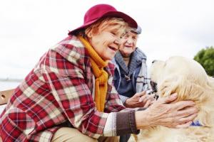 Alors que vivre avec un animal de compagnie apporte de nombreux bénéfices pour la santé, cette équipe de l’Université d'York suggère, cela ne semble pas apporter d'amélioration aux personnes atteintes de troubles de la santé mentale (Visuel Adobe Stock 96580468)