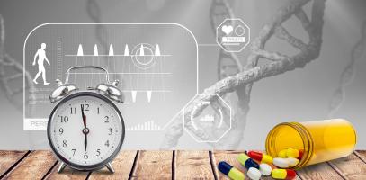 Les horloges circadiennes moléculaires du cerveau et des tissus musculaires se coordonnent et leur synchro est nécessaire pour maintenir les muscles en bonne santé (Visuel Adobe Stock 107531834)