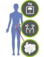 Comme l’apport de certains nutriments ou de probiotiques qui vont, en régulant notre métabolisme, induire naturellement ou faciliter la perte de poids.