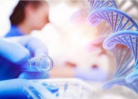 La régénération naturelle est mécanisme passionnant pour la médecine régénérative, et présent chez le lézard, dont les gènes et les miARN « de régénération » ont déjà fait l’objet de plusieurs recherches (Visuel Adobe Stock 470918212) La régénération naturelle est mécanisme passionnant pour la médecine régénérative, et présent chez le lézard, dont les gènes et les miARN « de régénération » ont déjà fait l’objet de plusieurs recherches (Visuel Adobe Stock 470918212)