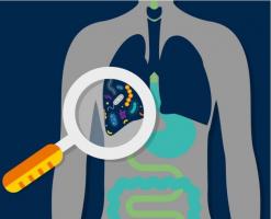 Des changements détectables dans le microbiome pulmonaire peuvent permettre de prédire dans quelle mesure les patients gravement malades vont répondre aux soins intensifs Des changements détectables dans le microbiome pulmonaire peuvent permettre de prédire dans quelle mesure les patients gravement malades vont répondre aux soins intensifs