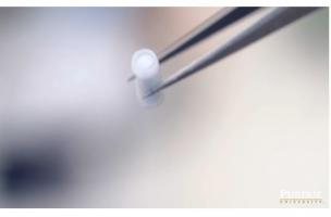 Administrer automatiquement le médicament qui inverse la surdose d'opioïdes, c’est la fonction de ce dispositif portable innovant Administrer automatiquement le médicament qui inverse la surdose d'opioïdes, c’est la fonction de ce dispositif portable innovant