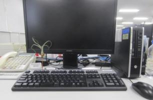 La présence de petites plantes d'intérieur au bureau permet de réduire le stress La présence de petites plantes d'intérieur au bureau permet de réduire le stress