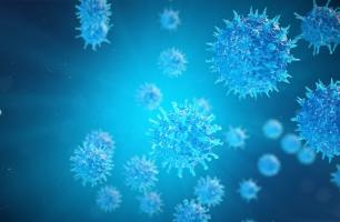 Sans notre système immunitaire, nous serions constamment malades, car notre environnement regorge d’agents pathogènes (microbes). Sans notre système immunitaire, nous serions constamment malades, car notre environnement regorge d’agents pathogènes (microbes).