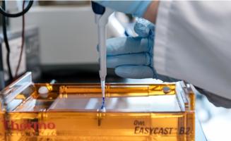 Ce cas illustre la puissance chez certains sujets contrôleurs d’élite, du système immunitaire inné qui via les cellules T tueuses, parvient à contrôler la réplication virale sans avoir besoin de médicaments (Visuel NIH) Ce cas illustre la puissance chez certains sujets contrôleurs d’élite, du système immunitaire inné qui via les cellules T tueuses, parvient à contrôler la réplication virale sans avoir besoin de médicaments (Visuel NIH)