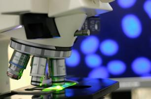 Cette étude en n’attribuant à la maladie d'Alzheimer qu’une perte neuronale très mineure ouvre la voie à de nouvelles thérapies Cette étude en n’attribuant à la maladie d'Alzheimer qu’une perte neuronale très mineure ouvre la voie à de nouvelles thérapies