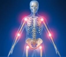 Les FoxO sont des protéines clés dans le risque d'arthrose au cours du vieillissement Les FoxO sont des protéines clés dans le risque d'arthrose au cours du vieillissement