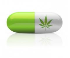 Quel lien entre la légalisation et une utilisation plus large du cannabis médical et l’évolution du nombre de décès liés aux opioïdes ? Quel lien entre la légalisation et une utilisation plus large du cannabis médical et l’évolution du nombre de décès liés aux opioïdes ?