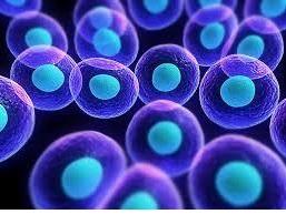 Des anomalies métaboliques et inflammatoires, indépendamment ou en combinaison, semblent constituer le lien biologique entre l'obésité et le cancer (Visuel Fotolia) Des anomalies métaboliques et inflammatoires, indépendamment ou en combinaison, semblent constituer le lien biologique entre l'obésité et le cancer (Visuel Fotolia).