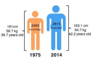 En synthèse, la population de demain sera plus grande, plus lourde et mangera plus En synthèse, la population de demain sera plus grande, plus lourde et mangera plus