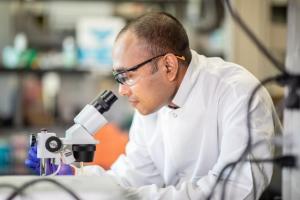 Découverte d'une interaction cruciale entre le sang et le cancer de l'ovaire (Visuel Université du Texas) Découverte d'une interaction cruciale entre le sang et le cancer de l'ovaire (Visuel Université du Texas)