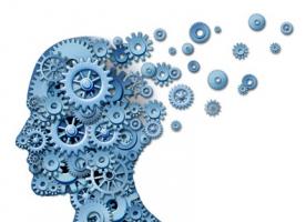 Le « hic » est la complexité du cerveau avec ses multiples zones et connexions qui constituent un réseau énorme. Le « hic » est la complexité du cerveau avec ses multiples zones et connexions qui constituent un réseau énorme.