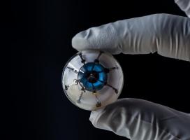 Cette prouesse démontre la capacité actuelle à combiner l'impression 3D, l'électronique et la biologie sur une seule plateforme. Cette prouesse démontre la capacité actuelle à combiner l'impression 3D, l'électronique et la biologie sur une seule plateforme.