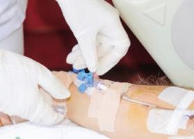 La restriction calorique contribue aussi à la régénération cellulaire La restriction calorique contribue aussi à la régénération cellulaire