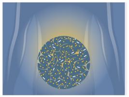 Les « bonnes » bactéries de cette formulation liquide atteignent et colonisent l'intestin avec succès, modifient de manière bénéfique la flore intestinale et la réponse immunitaire. Les « bonnes » bactéries de cette formulation liquide atteignent et colonisent l'intestin avec succès, modifient de manière bénéfique la flore intestinale et la réponse immunitaire.