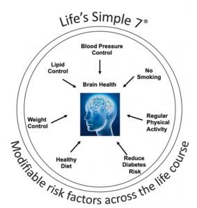 On estime que 150 millions de personnes pourraient être atteintes de démence en 2050. Ce chiffre et la crainte de l’Alzheimer doit inciter chacun à adopter les bons comportements pour prévenir au maximum ce risque en préservant au maximum la santé de son cerveau (Visuel AHA)