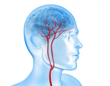 Les particules toxiques inhalées passent directement des poumons au cerveau, en passant par le sang (Visuel Adobe Stock 101804429)