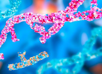 Les technologies CRISPR qui constituent la base de l’édition du génome ou de l’édition de gènes, sont en train de révolutionner la médecine régénérative (Visuel Adobe Stock 1041264544)