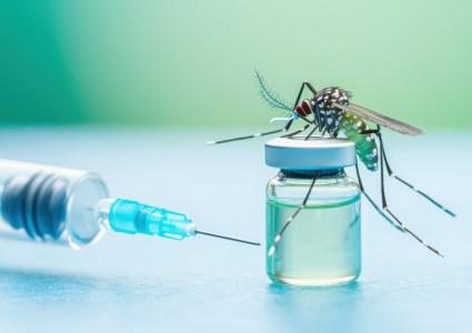 Le vaccin permet notamment de protéger, durant 5 ans, contre le risque d’hospitalisation (Visuel Adobe Stock 1199690721).