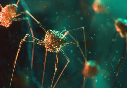 Un ensemble de gènes mobiles du génome, ou " mobilome ", permet aux bactéries de bloquer la capacité des phages à copier leur ADN, les empêchant ainsi d'infecter et d’éliminer d'autres bactéries (Visuel Adobe Stock 1255537578)