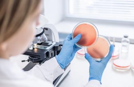 Ces nouvelles données mettent en garde contre une transmission accrue du mpox, toujours en RDC, avec un risque de propagation plus rapide au-delà des frontières (Visuel Adobe Stock 1261232600)