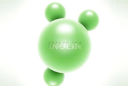 Un complément alimentaire pour la santé intestinale, l'inuline, soulage les douleurs arthritiques (Visuel Adobe Stock 1808298070)