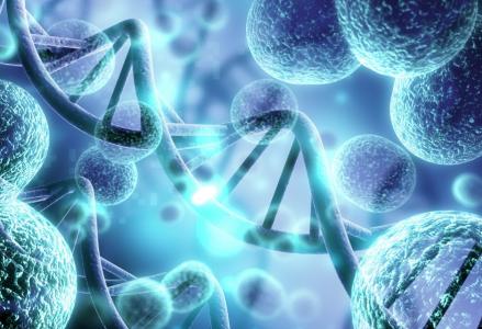 L’ajout de structures intelligentes aux protéines thérapeutiques, leur permet de s’orienter dans l’organisme et de cibler, en analysant des signaux environnementaux spécifiques (Visuel Adobe Stock 235711378).