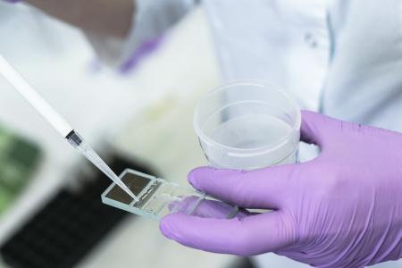 La perte d'un gène clé de la fertilité masculine entraîne des modifications de l'expression de centaines d'autres gènes (Visuel Adobe Stock 251608643)