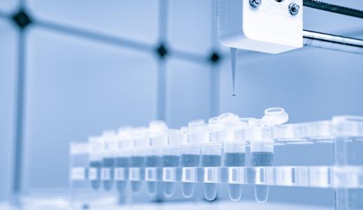 La thérapie cellulaire fait partie des pistes très prometteuses de traitement de l'insuffisance et de la crise cardiaque (Visuel Adobe Stock 387783779)