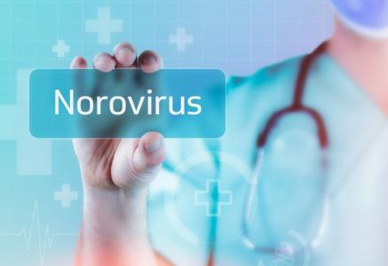 Ce nouveau système permet de préciser les fonctions de gènes spécifiques du norovirus et d'étudier les mécanismes de sa réplication et de sa pathogénicité (Visuel Adobe Stock 531961521). 