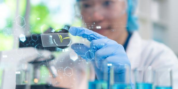 Utiliser la lawsone, un composé rouge-orange présent dans les feuilles de henné, exploiter ses propriétés antioxydantes et antibactériennes pour développer de nouveaux pansements (Visuel Adobe Stock 637486674)