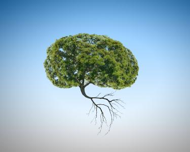 La pollution de l'air peut augmenter le risque de démence (Visuel Adobe Stock 76195834)