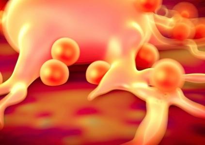 Des centaines de changements cellulaires qui se produisent en réponse à une alimentation riche en graisses (Adobe Stock 88469791)