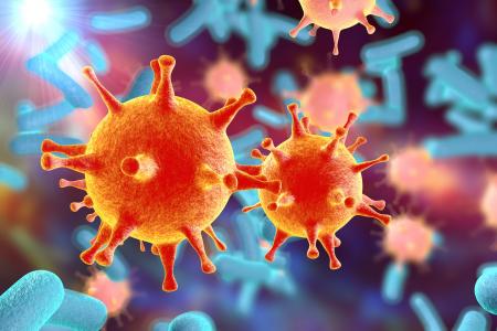 L'étude révèle une stratégie microbienne brutale et jusque-là inconnue, lorsque la nourriture se fait rare : certaines bactéries tuent et consomment leurs voisines (Visuel Adobe Stock 91414528)