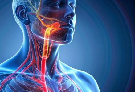 L’intelligence artificielle (IA) appliquée aux radiographies pourrait grandement faciliter le diagnostic complexe de l’achalasie (Visuel Adobe Stock 954134716)