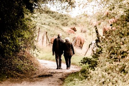 La maladie d’Alzheimer touche près d’un million de personnes en France, avec environ 225.000 nouveaux cas diagnostiqués chaque année (Visuel Pixabay elderly 2914879_1280)