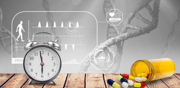 Les horloges circadiennes moléculaires du cerveau et des tissus musculaires se coordonnent et leur synchro est nécessaire pour maintenir les muscles en bonne santé (Visuel Adobe Stock 107531834)