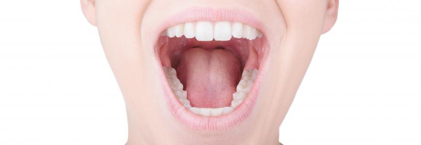 Le microbiote de la langue permet de détecter l’insuffisance cardiaque (Visuel AdobeStock_124787499)