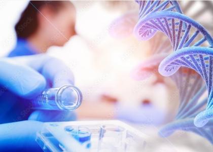 Des schémas de vieillissement des organes se révèlent prédictifs de la neurodégénérescence et des troubles de l'humeur. (Visuel Adobe Stock 470918212)