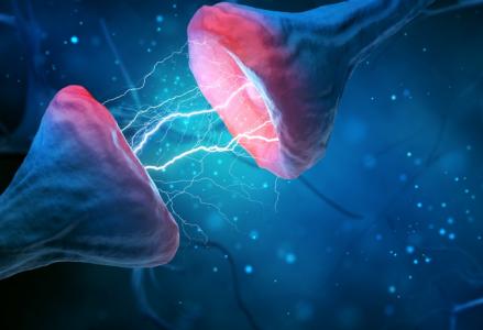 Cette étude révolutionnaire, va jusqu’à identifier les signatures d'expression génétique de l'hypermaturité hippocampique dans l’anxiété, la dépression, la schizophrénie et la neurodégénérescence (Visuel Adobe Stock 287514101)