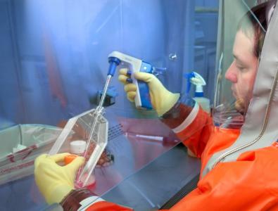 Chez les animaux sauvages, le facteur le plus important pour la diversité et la prévalence du virus de l'influenza A est un régime alimentaire à base d’oiseaux.