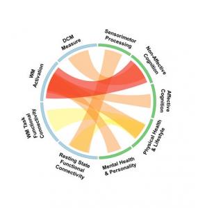 La mémoire travail est caractérisée par la capacité de stocker et de traiter l'information pertinente lors d’une tâche à accomplir. 