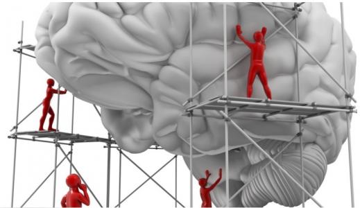 Une augmentation de la plaque amyloïde entraîne « automatiquement » une augmentation du déclin cognitif