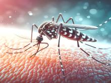 Ces travaux qui couvrent 86 épidémies de chikungunya, aboutissent au plus grand ensemble de données comparatives du genre, et dégagent de grandes tendances de ces épidémies (Visuel Adobe Stock 1178711352)